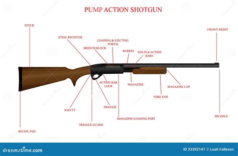 labeled shotgun diagram stock vector illustration  steel