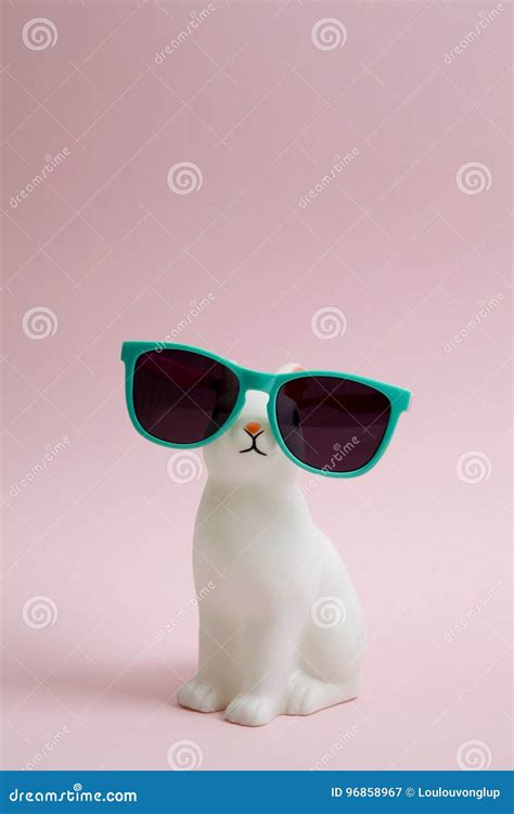 sunglasses bunny stock image image  beach background