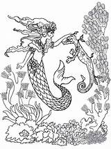 Adults Seahorse sketch template