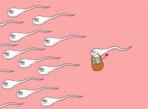 cartoon of a funny of sperm illustrations royalty free vector graphics