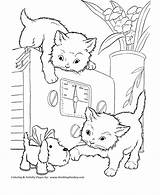 Coloring Cat Pages Kittens Playful Cats Print Kids котята Playing sketch template