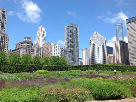 outdoor gardens  visit  chicago chicago illinois