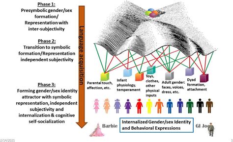 Frontiers A Dynamic Systems Framework For Gender Sex Development