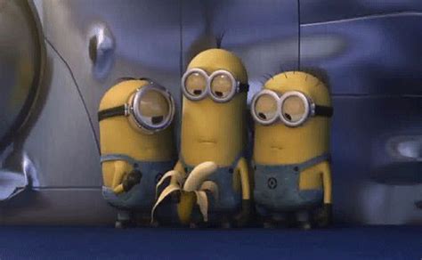 150 best images about my minion obsession on pinterest despicableme minions love and animated