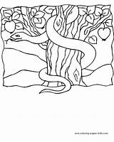 Coloring Pages Religious Bible Color Story Printable Tree Stories Apple Kids Sheet Snake Sheets Found sketch template