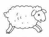 Schaap Kleurplaat Knutselen Schapen Kleurplaten Lente Watten Flevoland Tekening Tekenen Peuters Mouton Lammetjes Sjabloon Lammetje Bijbelknutselwerk Kinderen Uitprinten Boerderijdieren Citroen sketch template