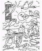Kleurplaat Vogels Tuin Dieren Vogeltjes sketch template