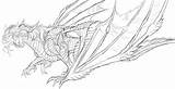 Smaug Body Sketch Ghostwalker2061 Deviantart Wyvern Dragon Drawing Template Templates sketch template