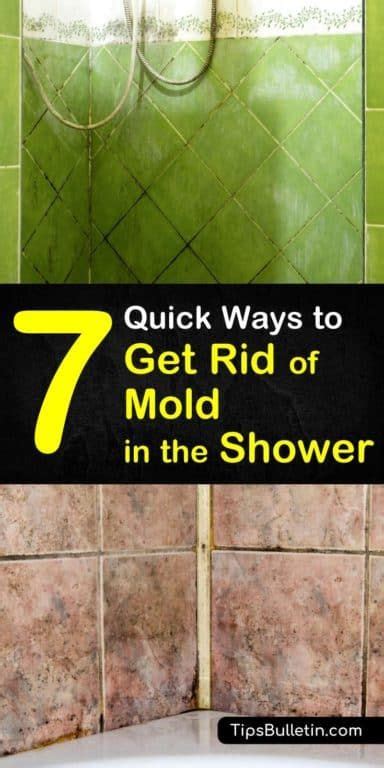 quick ways   rid  mold   shower cleaning shower tiles