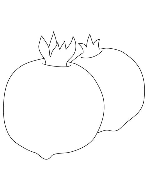 pomegranate coloring page  printable pomegranate coloring page