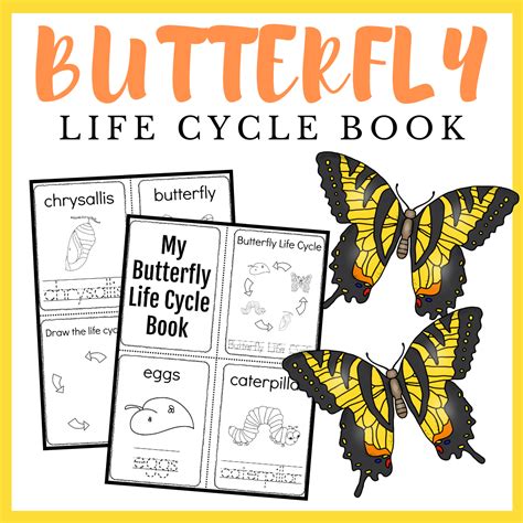 simple butterfly life cycle printable book  preschoolers