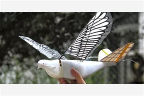 china    bird drones  track  citizens beebom
