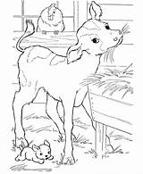 Coloring Pages Cow Library Cartoon sketch template