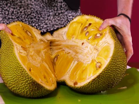 jackfruit  huge tree fruit  supposedly tastes  pulled pork business insider