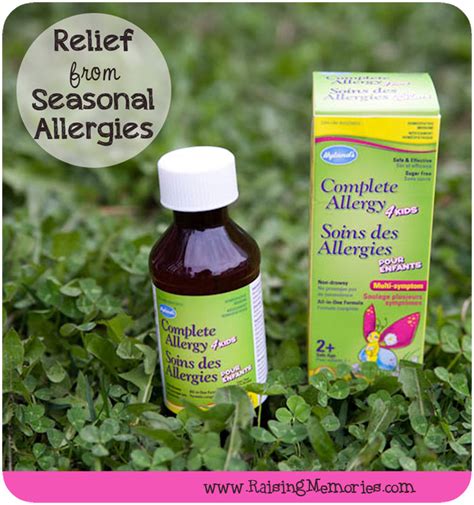 our quest for seasonal allergy relief