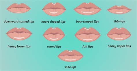 what does your lip shape say about your personality