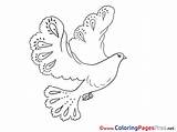 Coloring Pigeon Pages Pentecost Sheet Title Coloringpagesfree Religious sketch template