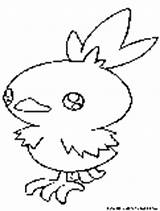 Torchic sketch template