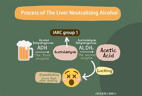 alcohol flush reaction  result  good liver function