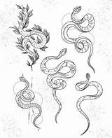 Tattoos Snake Tatuajes Schlangen Serpiente Blackwork Drachen Awesome Serpientes Brazos Tatuados Tätowierungen Serpent Ksenia sketch template