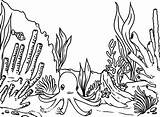 Corail Reef Octopus Colorier sketch template