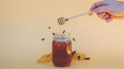7 Proven Benefits And Uses Of Manuka Honey Manuka Honey
