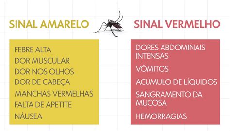 brasil tem mais de 30 mil casos notificados de dengue nas primeiras