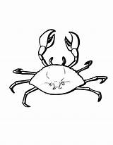 Crab Coloring Pages Marine Ghost Animals Printable Animal Kids Horseshoe Sheet Color Hermit Designlooter Print Getcolorings Cooloring Cartoon 2550 3300px sketch template