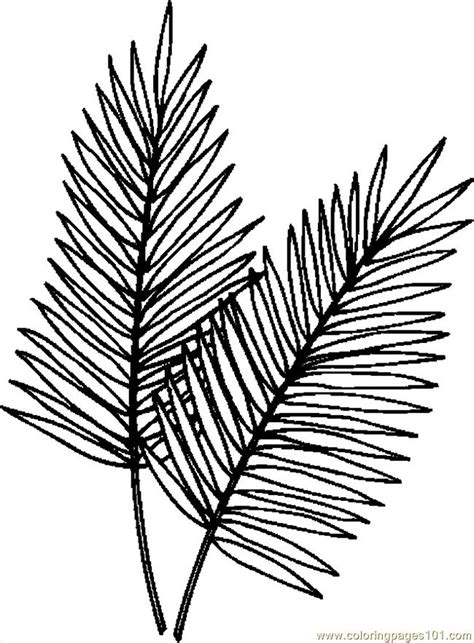 palm tree leaves template  clipart  clipart