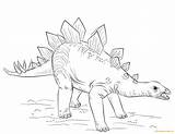 Stegosaurus Coloring Pages Dinosaur Drawing Draw Young Online Supercoloring Kids Dinosaurs Printable Color Tutorials Step Cute Coloringpagesonly sketch template