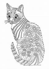 Coloring Cat Pages Rocks Detailed Flower Mandalas sketch template
