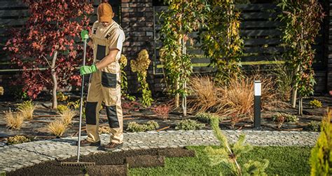 landscaping company fort worth tx fort worth landscaping