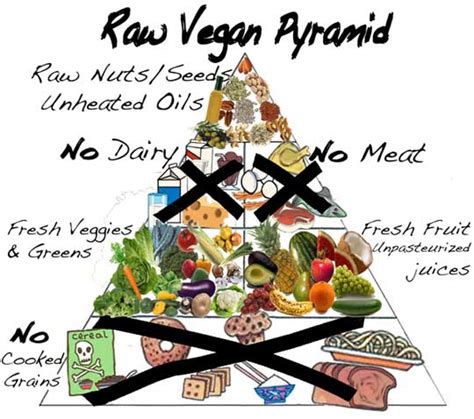 raw food diet diet wiki fandom powered by wikia