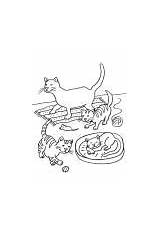 Ausmalen Katze Katzen Katzenfamilie Putzt Ausmalbild Zum Mit sketch template