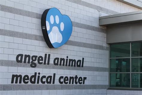 angell animal medical center laboratory partners  orchard software