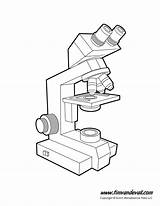 Microscope Drawing Simple Parts Getdrawings Diagram sketch template