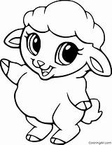 Lamb Coloring Pages Baby Cute sketch template