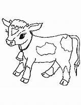 Cow Calf Coloring Baby Pages Clipart Cattle Cows Drawing Cute Print Para Colorear Cartoon Printable Clarabelle Dibujos Golden Color Angus sketch template