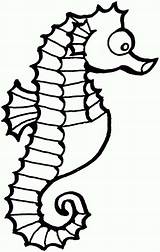 Seahorse Coloring Cartoon Pages Sea Horse Outline Funny Cute Clipart Clip Drawing Cliparts Color Printable Seahorses Kids Print Sheet Getdrawings sketch template