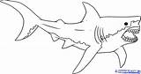 Shark Megalodon Requins Tiburones Azules 1437 Bleus sketch template