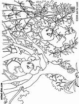 Coloring Panda Giant Popular sketch template