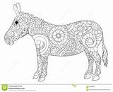 Donkey Coloring Adults Adult Vector Illustration Preview sketch template