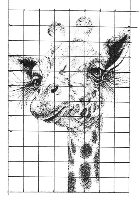 grid drawing worksheets  high school  paintingvalleycom explore collection  grid