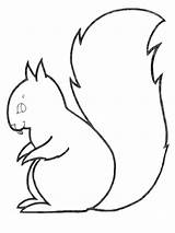 Squirrel Gaddynippercrayons sketch template