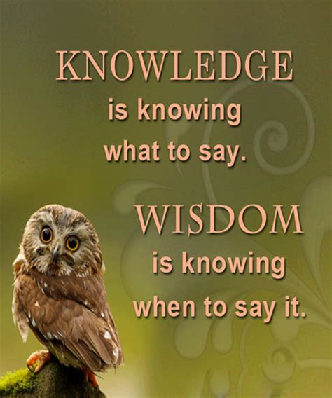 knowledge  wisdom pictures   images  facebook tumblr