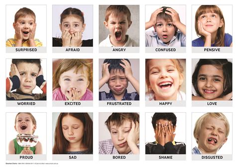emotions art language chart pack  young children