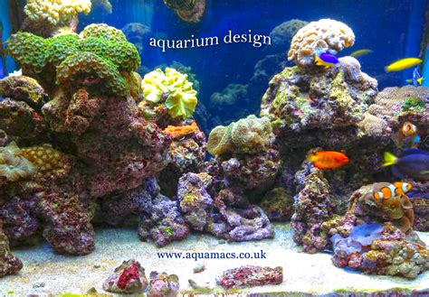 aquarium design marine tanks aquamacs