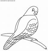 Pigeon Coloring Pages Printable Animals Preschool sketch template