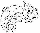 Coloring Chameleon Pages Lizard Print Colouring Frilled Template Color Embroidery Getcolorings Printable Getdrawings Drawing Kids Colorings sketch template