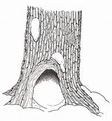 Tree Hollow Clipart Coloring Reversed Janbrett Cliparts Clipground Library sketch template